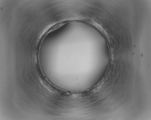 X0000077330060200611171818