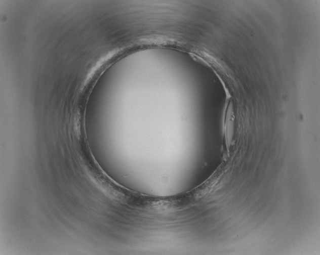 X0000077330064200611171818