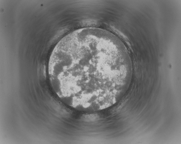 X0000077330067200611171818