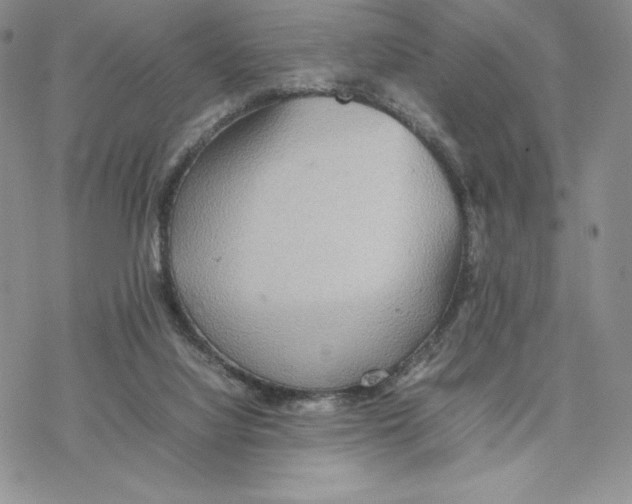 X0000077330068200611171818