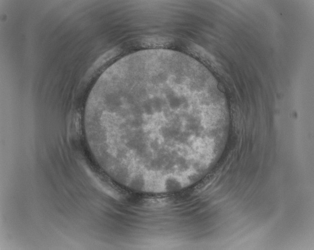 X0000077330071200611171818