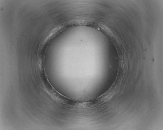 X0000077330072200611171818