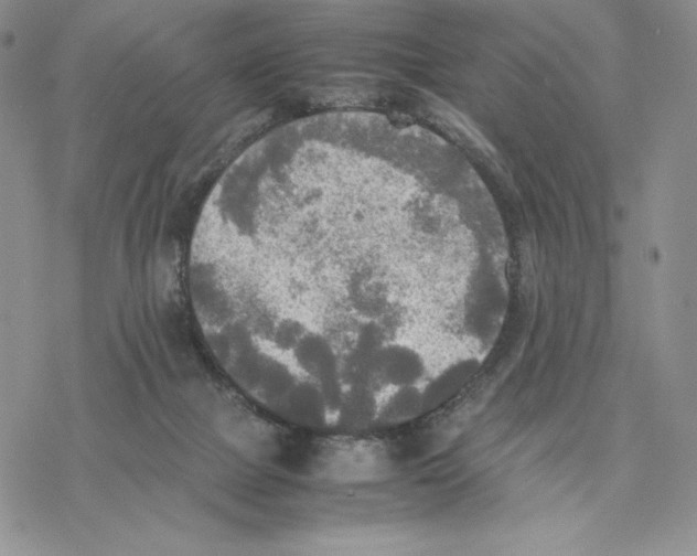 X0000077330073200611171818