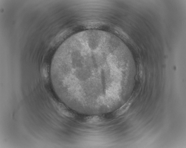 X0000077330074200611171818