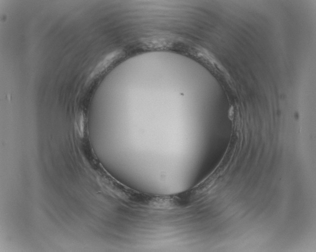 X0000077330076200611171818