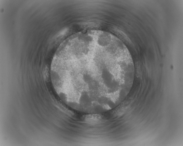 X0000077330077200611171818