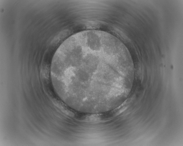 X0000077330078200611171818