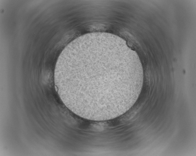 X0000077330079200611171818