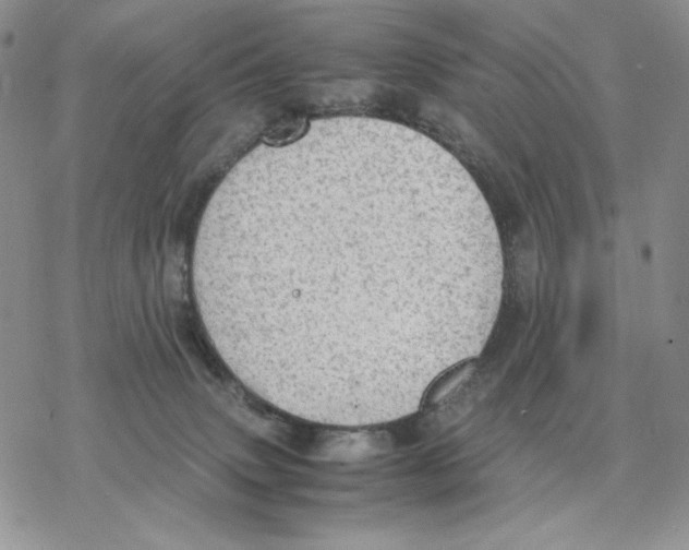 X0000077330083200611171818