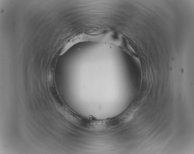 X0000077330084200611171818