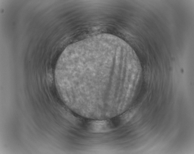 X0000077330085200611171818