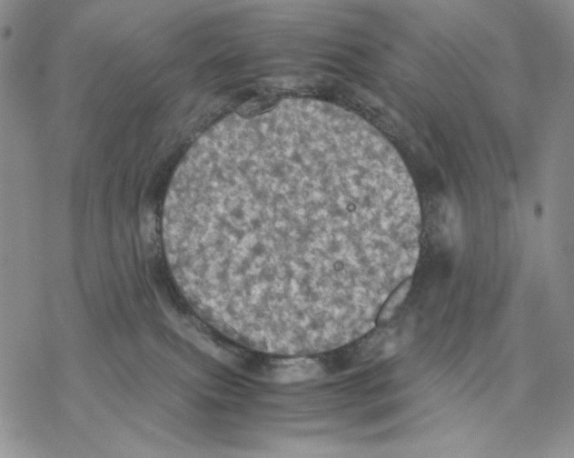 X0000077330087200611171818