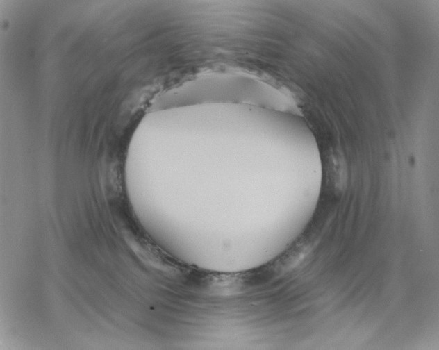 X0000077330088200611171818