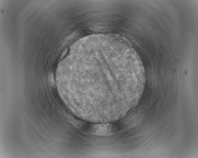 X0000077330089200611171818