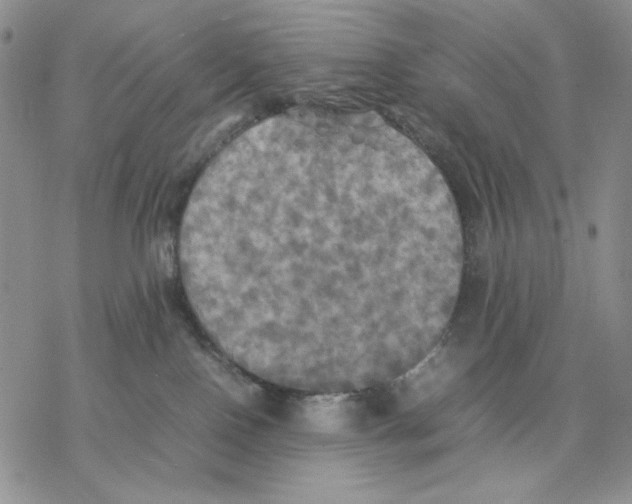 X0000077330090200611171818