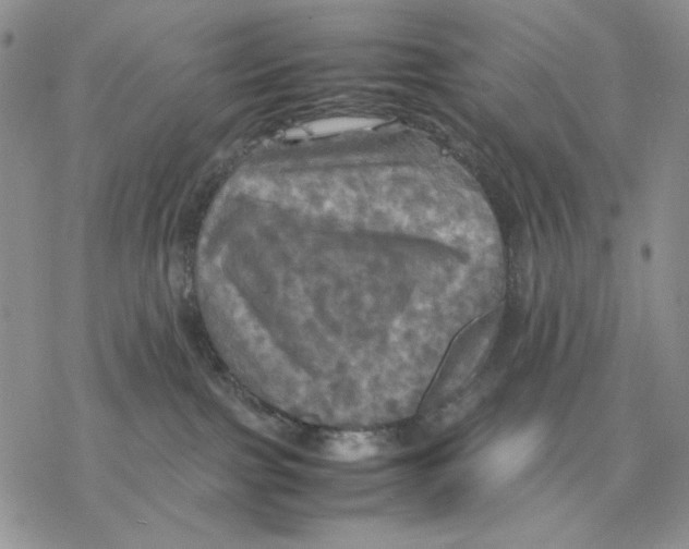 X0000077330091200611171818