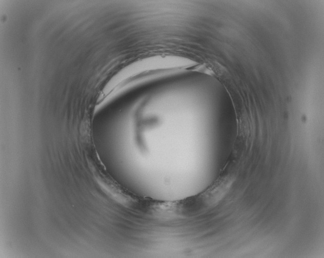 X0000077330092200611171818