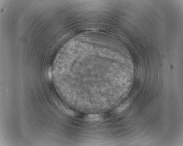 X0000077330095200611171818