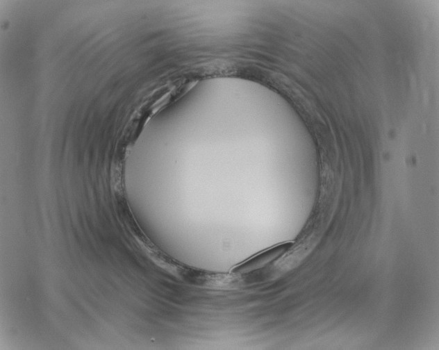 X0000077330096200611171818