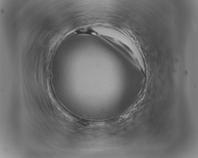 X0000077330097200611171817