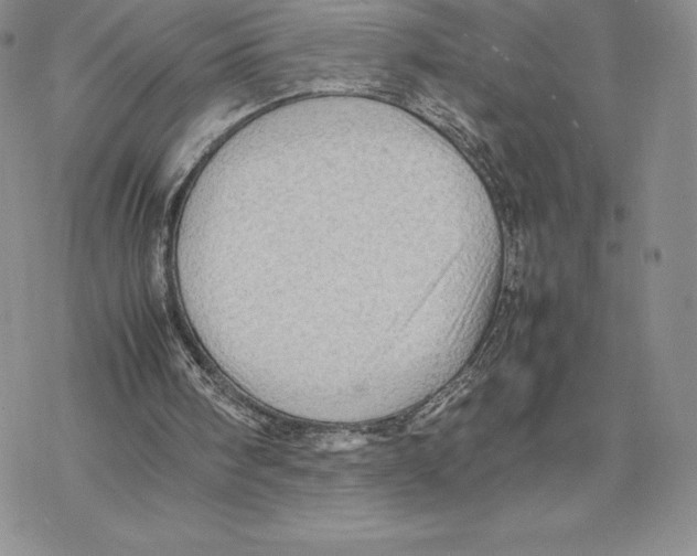 X0000077330098200611171817