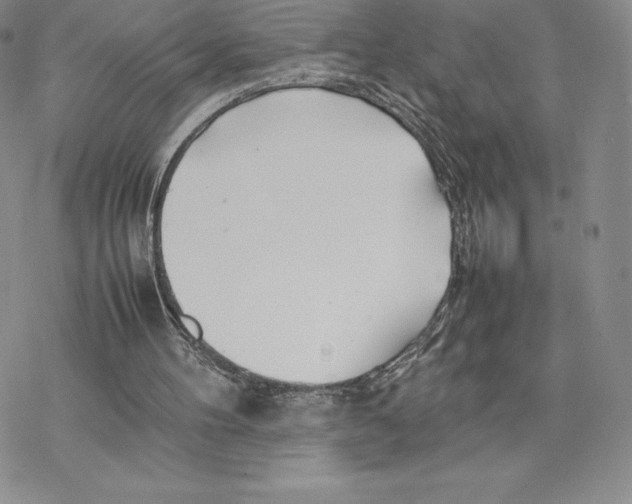 X0000077330100200611171817