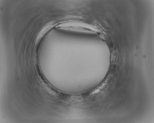 X0000077330101200611171817