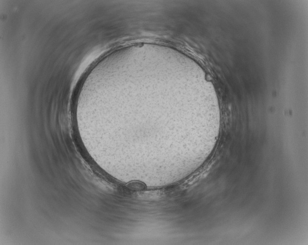 X0000077330102200611171817