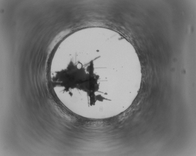 X0000077330104200611171817