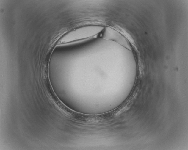 X0000077330105200611171817