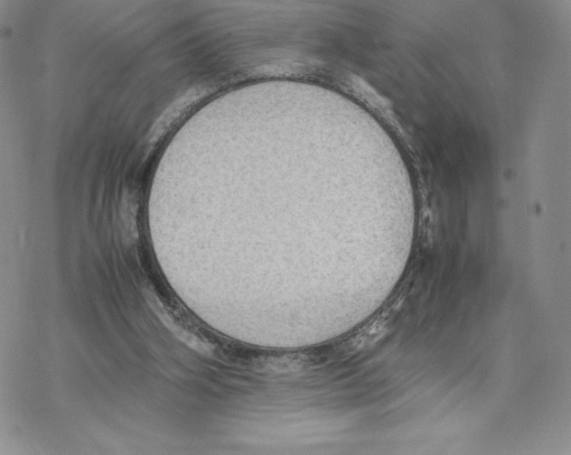 X0000077330106200611171817