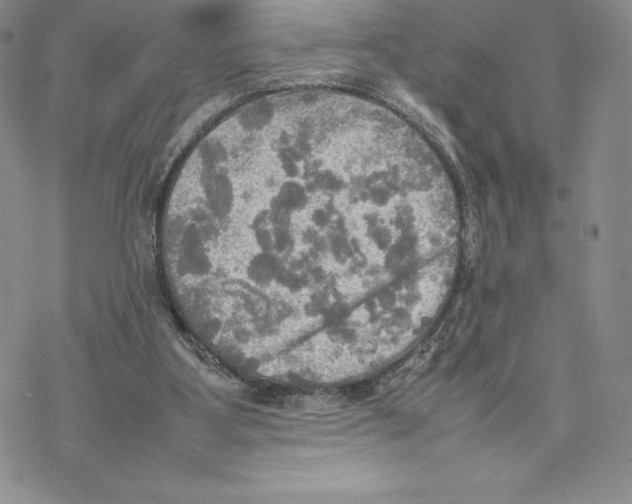 X0000077330107200611171817