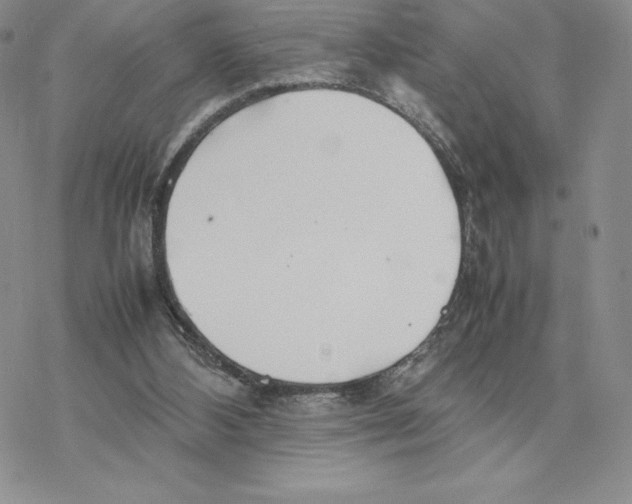 X0000077330108200611171817