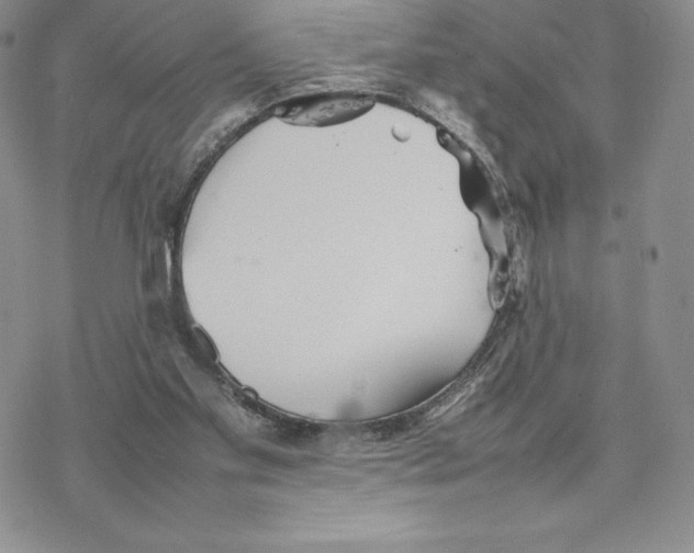 X0000077330109200611171817