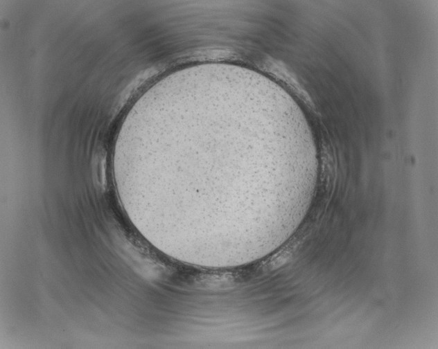 X0000077330110200611171817