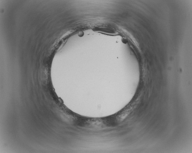 X0000077330113200611171817