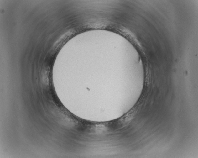 X0000077330114200611171817