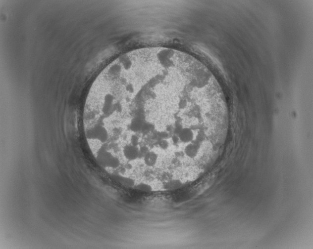 X0000077330115200611171817