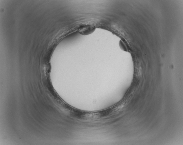 X0000077330117200611171817