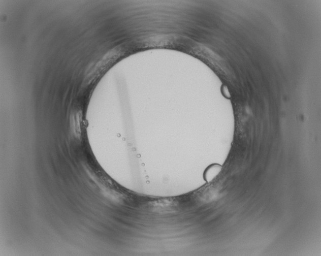 X0000077330118200611171817