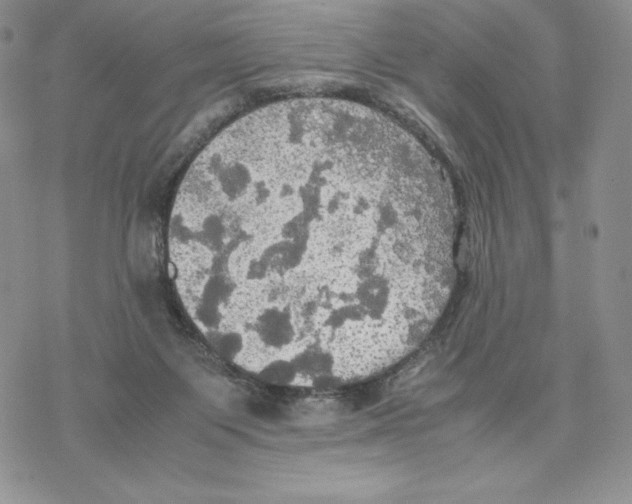 X0000077330119200611171817