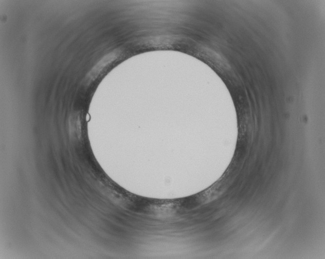 X0000077330120200611171817