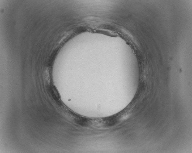 X0000077330121200611171817