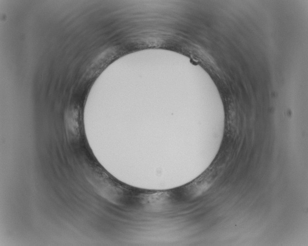 X0000077330122200611171817