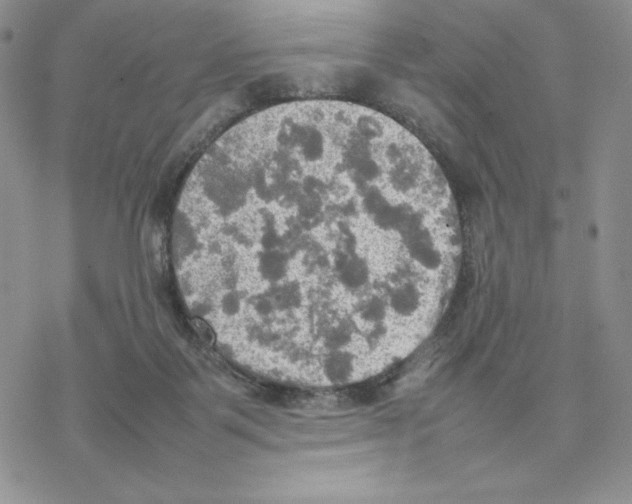 X0000077330123200611171817