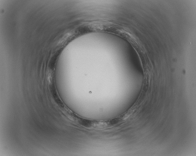 X0000077330125200611171817