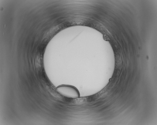 X0000077330126200611171817