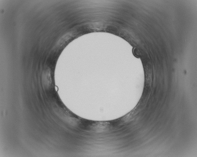 X0000077330128200611171817