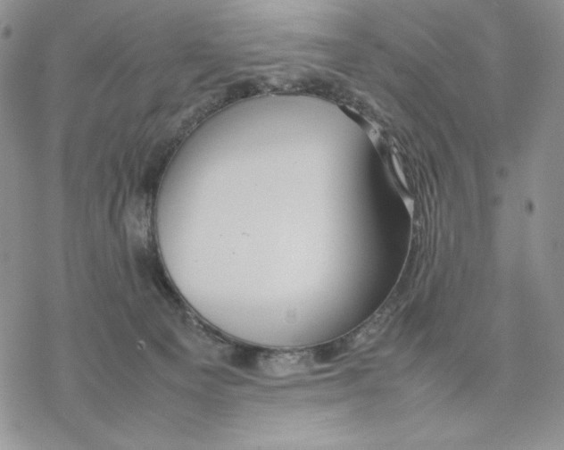 X0000077330129200611171817