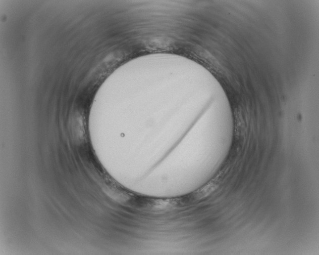 X0000077330130200611171817